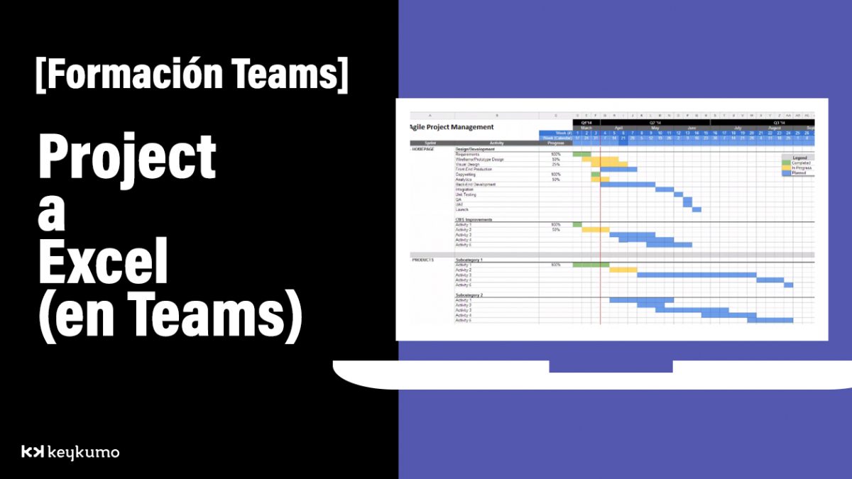 Project a Excel en Teams